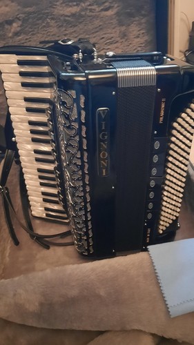 Fisarmonica vignoni farfisa - vignoni,